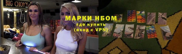индика Алзамай